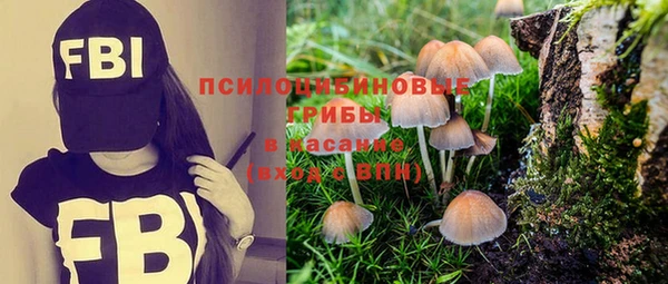 бошки Киреевск