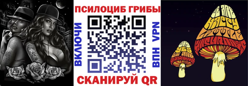 Купить Заводоуковск Галлюциногенные грибы Magic Shrooms